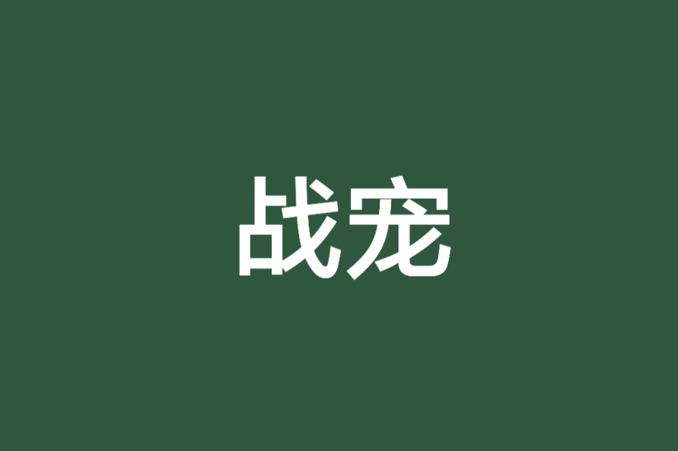 戰寵 戰寵