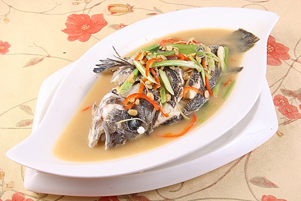 馬蹄桂魚 馬蹄桂魚