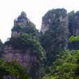 峰巒溪 峰巒溪