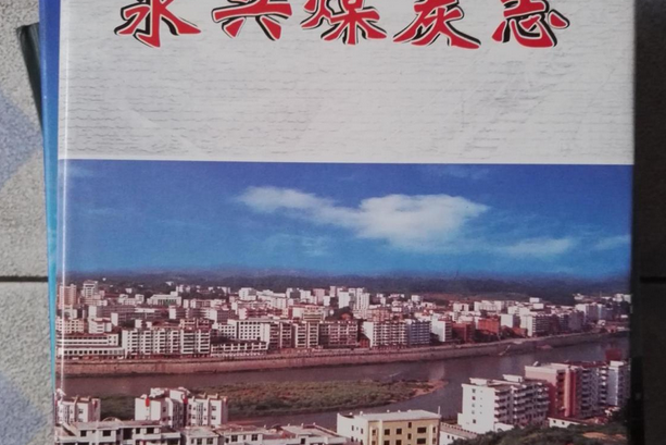 永興煤炭志 永興煤炭志