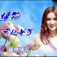 草原情花 草原情花