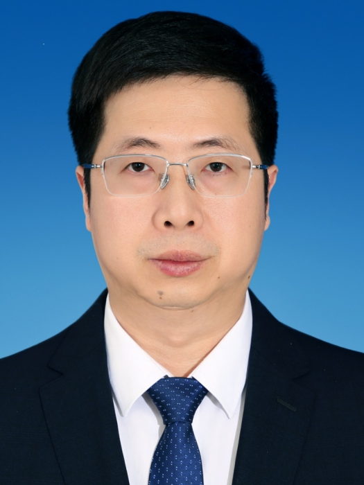 陳鎮(四川省南充市西充縣委副書記) 陳鎮(四川省南充市西充縣委副書記)