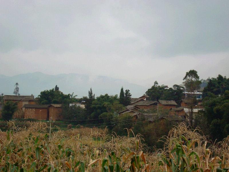 中甸村 中甸村
