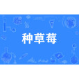 種草莓(網路流行詞) 種草莓(網路流行詞)