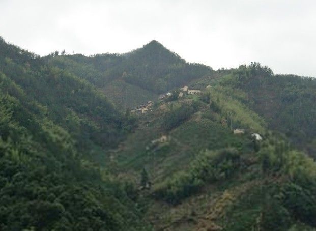 橫石村(廣東省肇慶市高要市活道鎮橫石村) 橫石村(廣東省肇慶市高要市活道鎮橫石村)