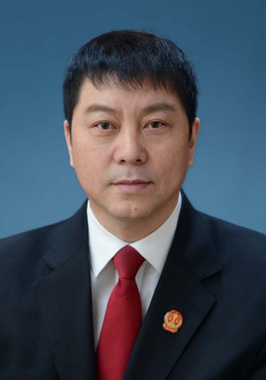 羅振宇(黑龍江省高級人民法院黨組成員、副院長)
