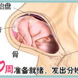 孕期40周 孕期40周