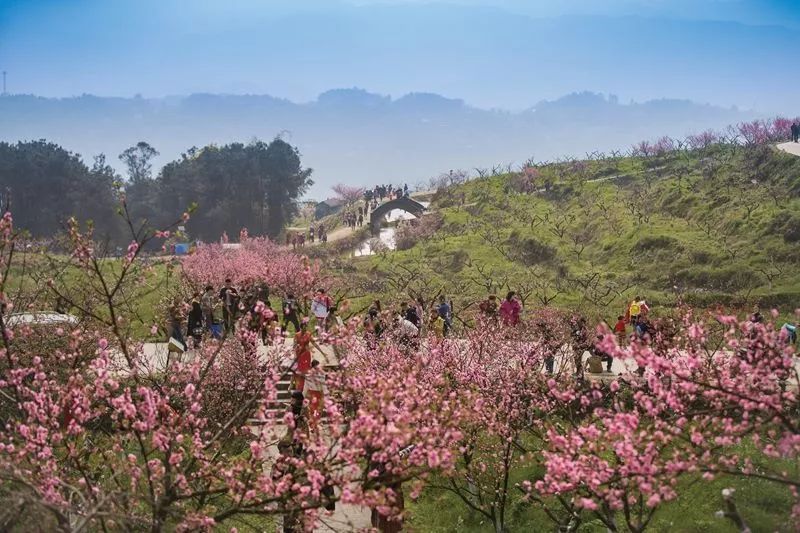 桃花三村 桃花三村