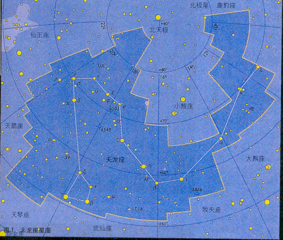 天棓四 天棓四