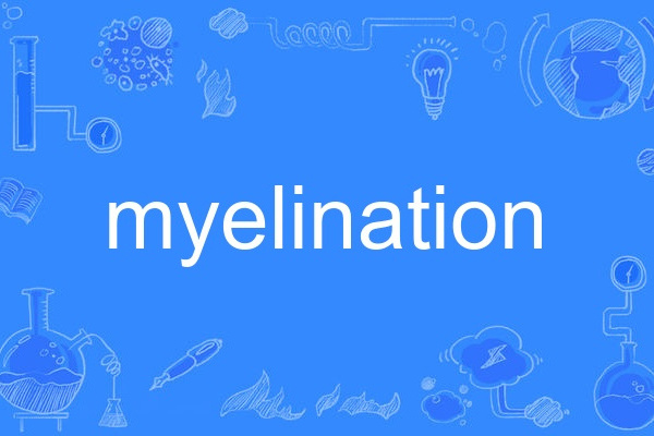 myelination myelination