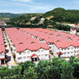 陽城村(浙江省嘉興市秀洲區王江涇鎮陽城村) 陽城村(浙江省嘉興市秀洲區王江涇鎮陽城村)