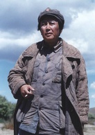 長征(2001年金韜、唐國強執導電視劇)
