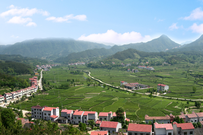 英山新華村 英山新華村