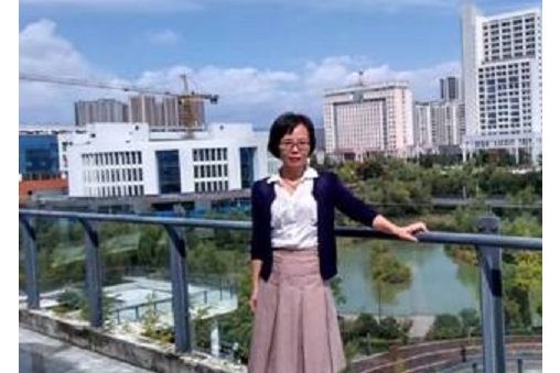 劉瓊(安康學院副教授) 劉瓊(安康學院副教授)