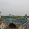 李顯明村 李顯明村