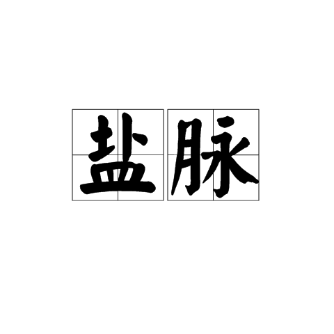 鹽脈(詞語) 鹽脈(詞語)