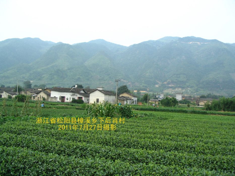 下後肖村 下後肖村