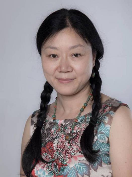 楊西(重慶大學建築城規學院講師) 楊西(重慶大學建築城規學院講師)