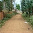 棠梨科村 棠梨科村