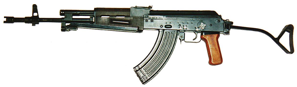 wz81步槍