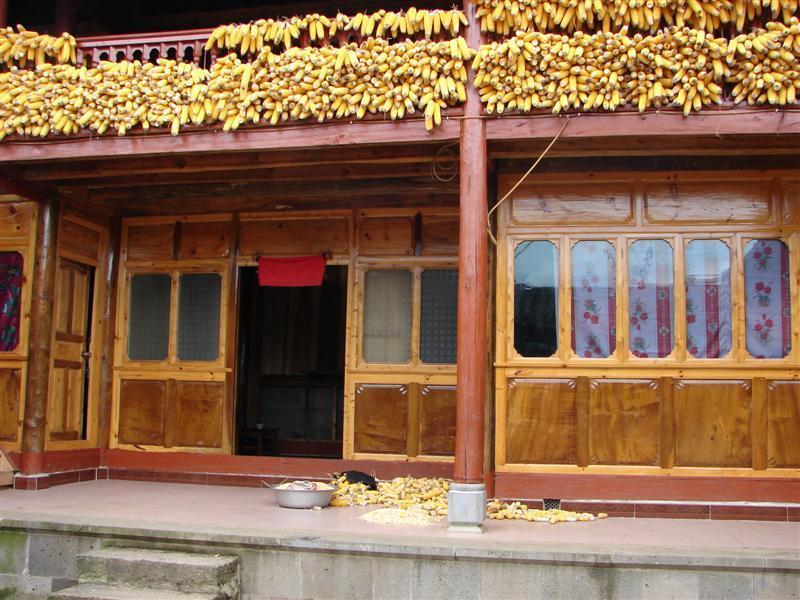 麻櫟山村 麻櫟山村