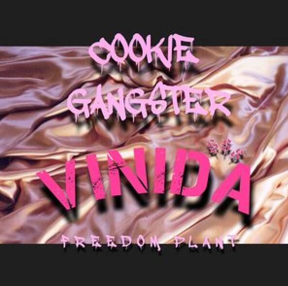 Cookie Gangster