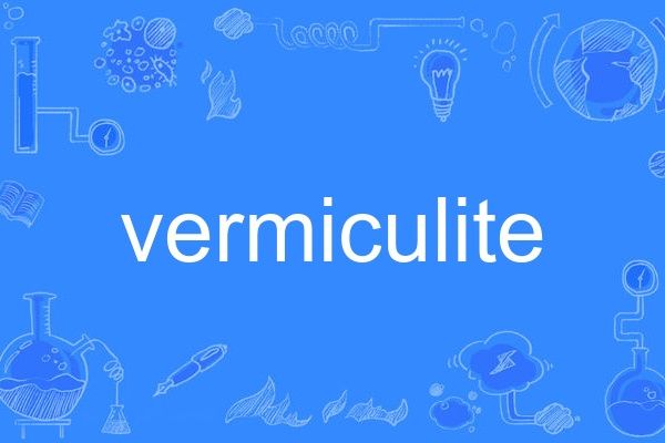 vermiculite vermiculite