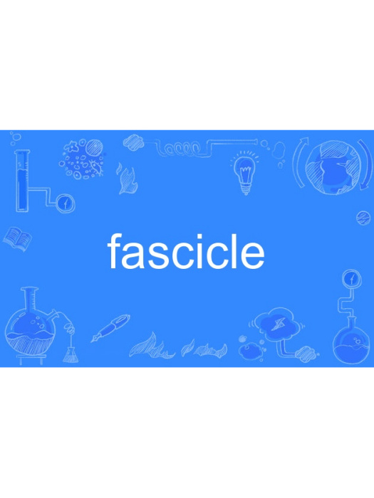 fascicle fascicle
