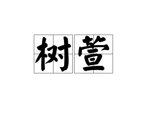 樹萱 樹萱