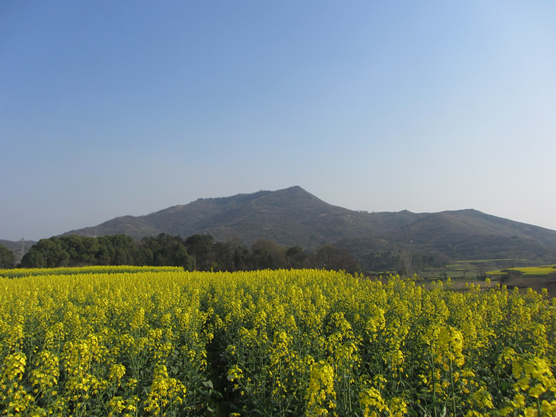 李境村