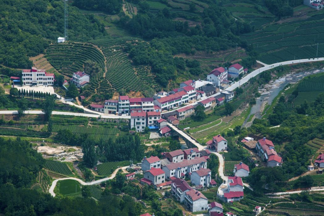 老虎頭村 老虎頭村