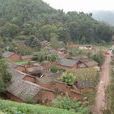 梨樹村(雲南省昭通市巧家縣金塘鎮梨樹村) 梨樹村(雲南省昭通市巧家縣金塘鎮梨樹村)