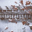 吹雪如常 吹雪如常