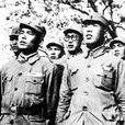 松野覺 松野覺