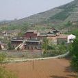 西北坡村 西北坡村