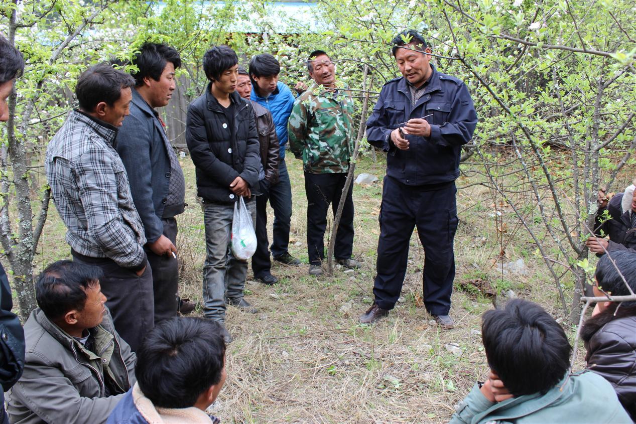 2014年4月西藏大學在扎拉村舉辦果樹栽培與管理技術培訓班1
