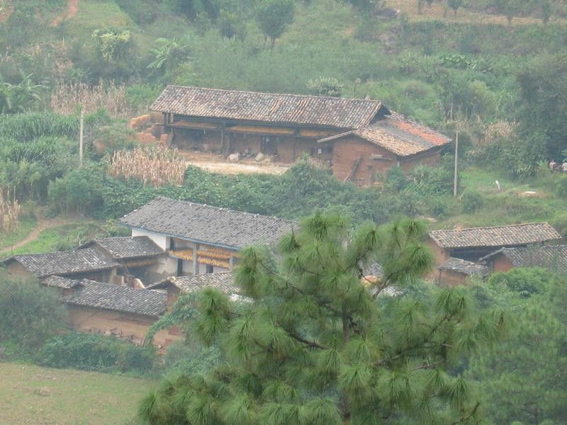 傅家坪村(雲南省華坪縣中心鎮下轄村)