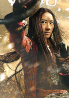 龍門飛甲(2011年徐克、張之亮執導電影)