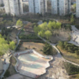 櫻花西街 櫻花西街