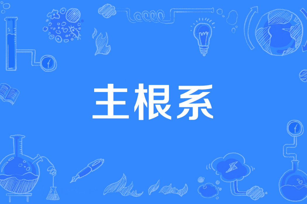 主根系 主根系