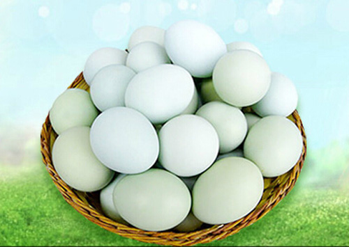 儋州綠殼雞蛋