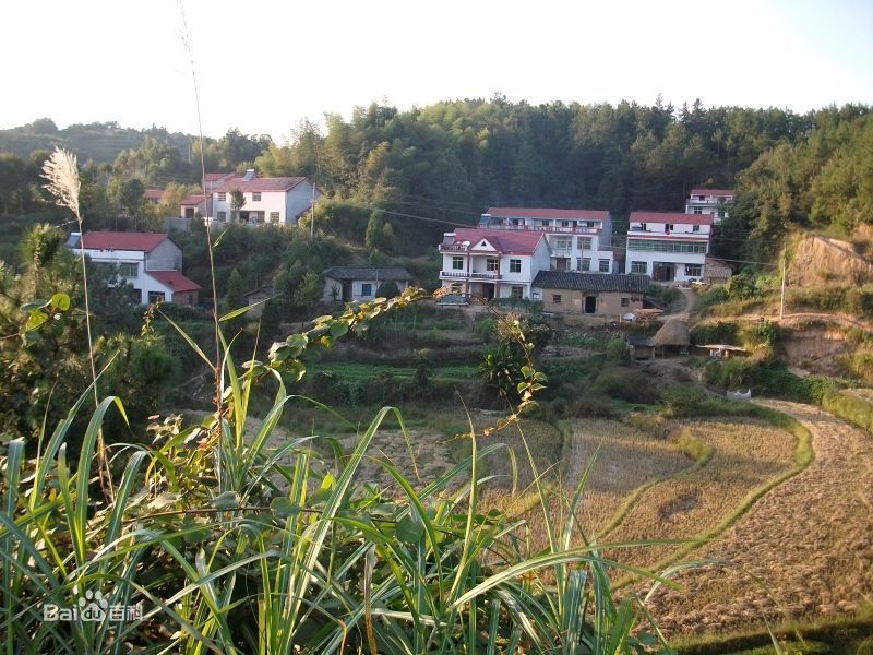 陳家岩村 陳家岩村