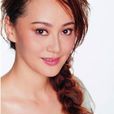 宋佳(中國大陸60後女演員) 宋佳(中國大陸60後女演員)