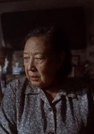 萬家燈火(2009年安戰軍執導電影)