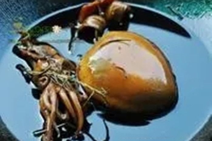 迷迭香墨魚 迷迭香墨魚