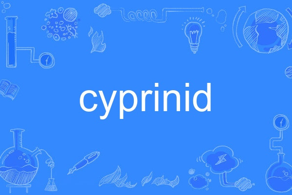 cyprinid cyprinid