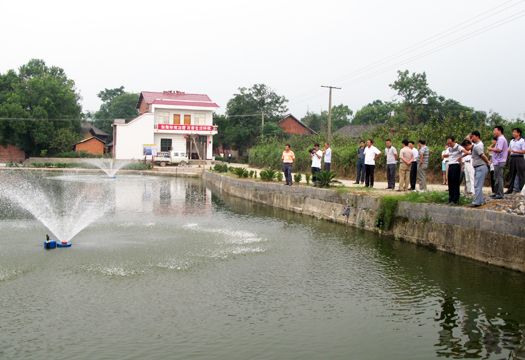線口村 線口村