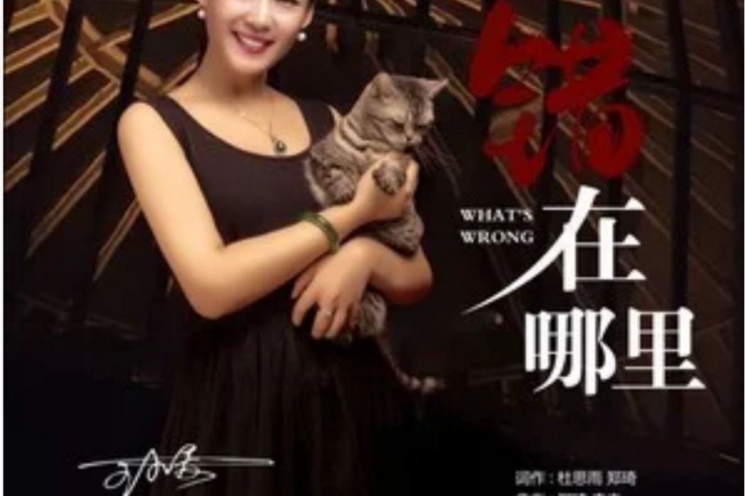 錯在哪裡 錯在哪裡