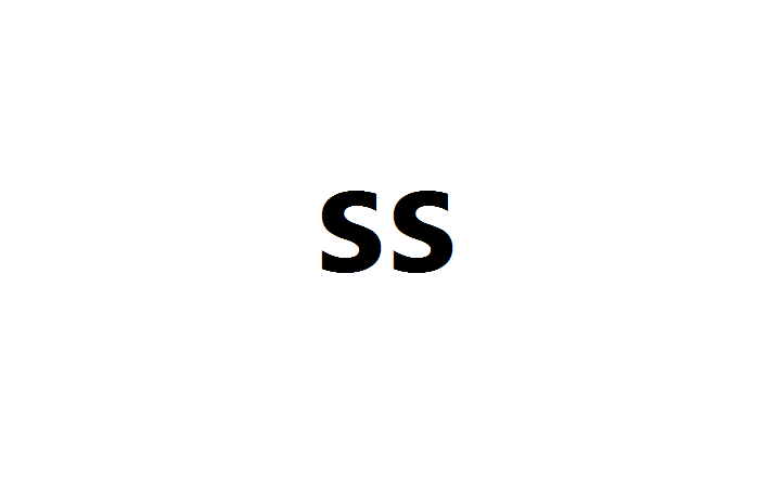 ss(計算機術語)