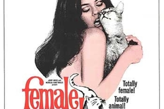Mujer del gato, La Mujer del gato, La